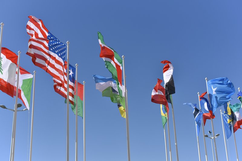 International tax lawyer